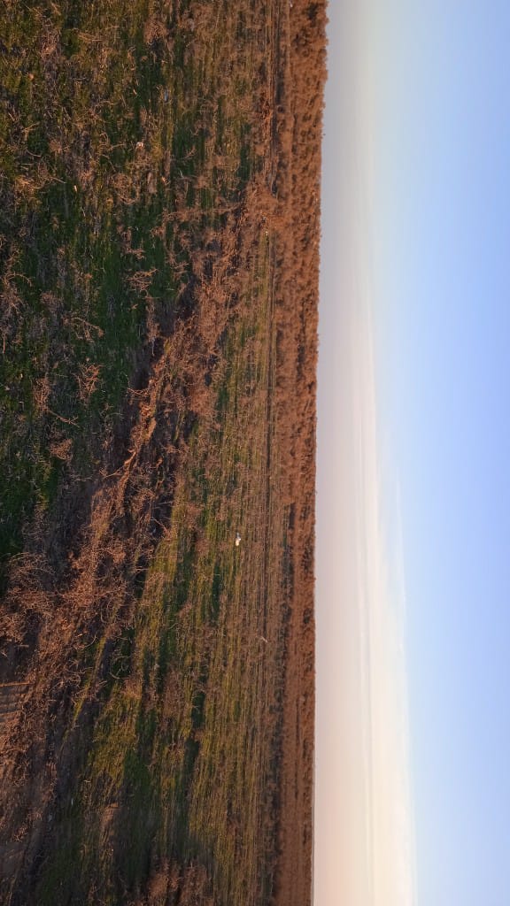 img-4