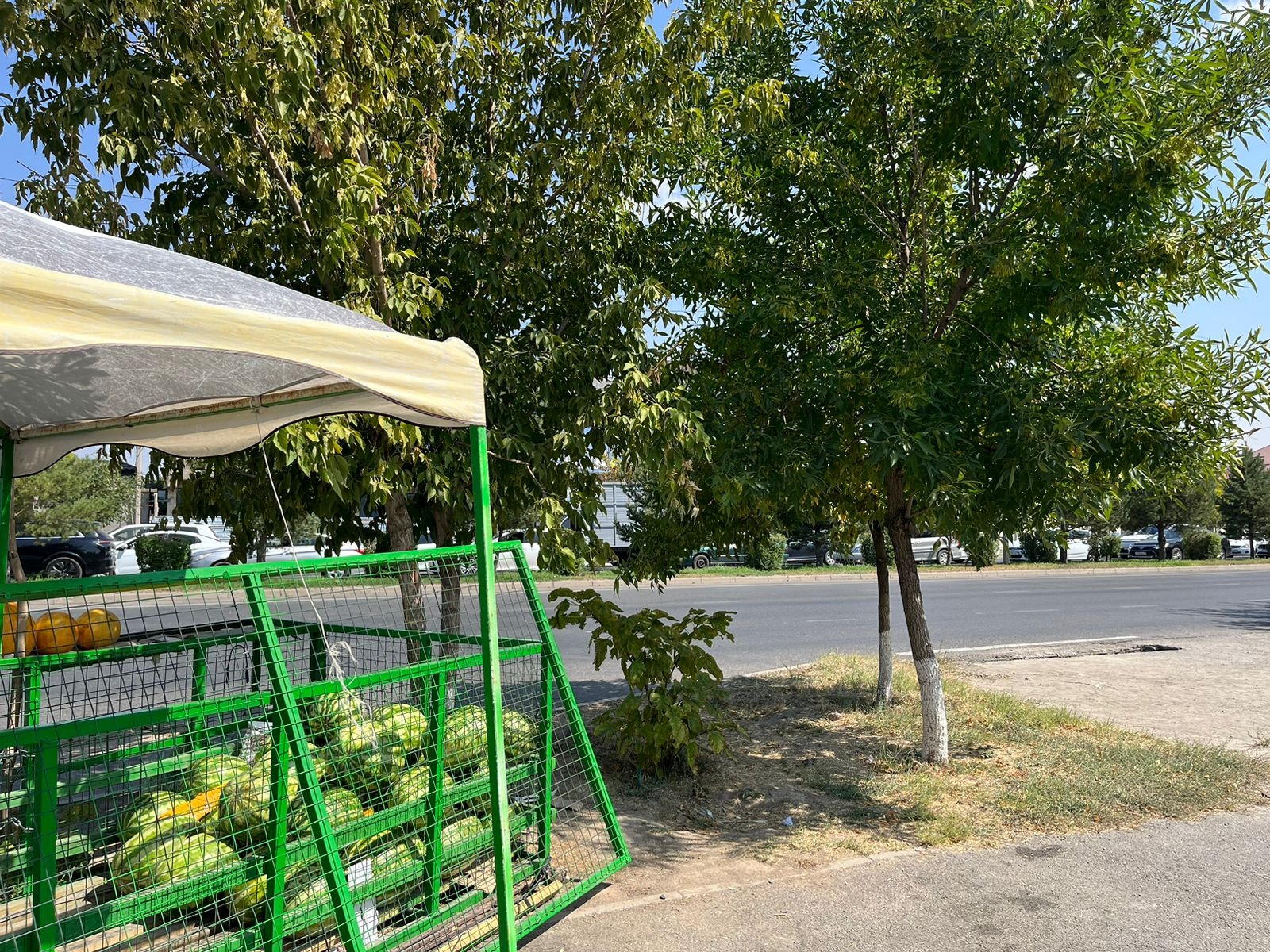 img-2