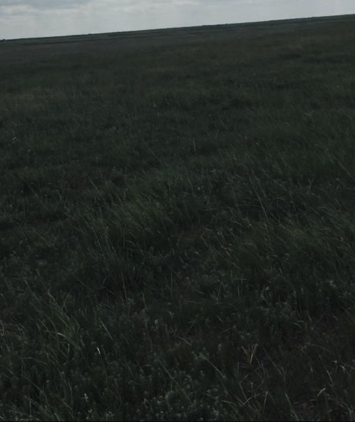 img-0