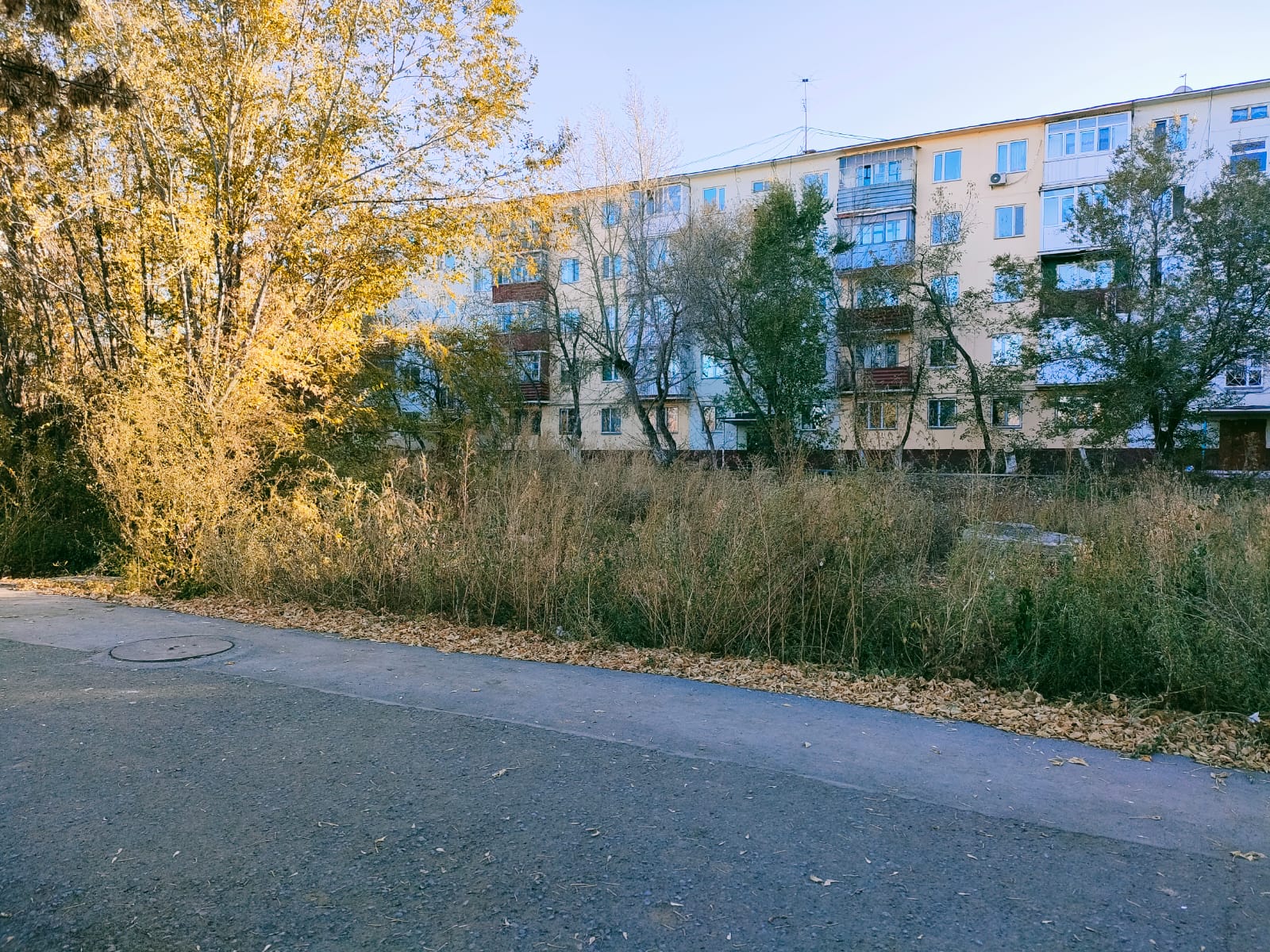 img-5