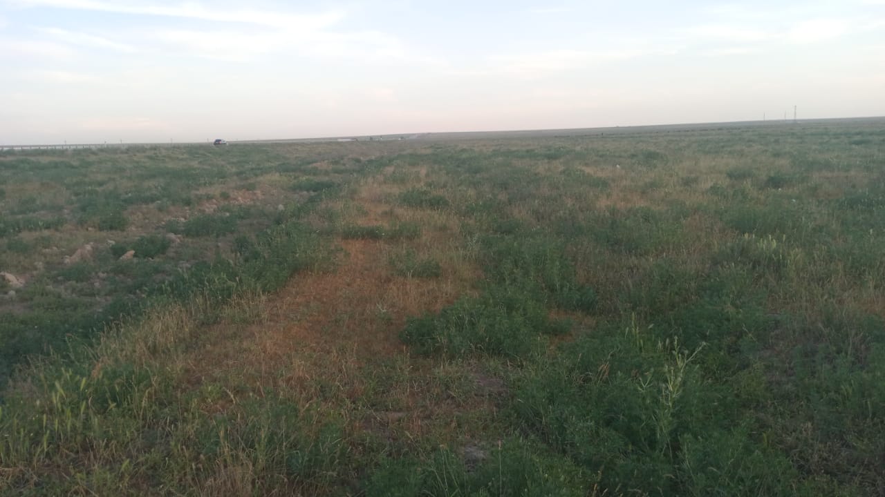 img-0