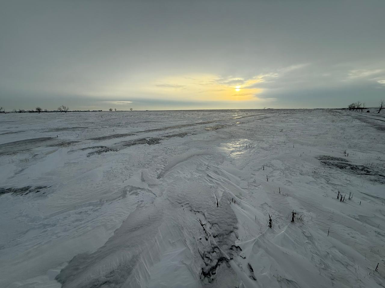 img-0