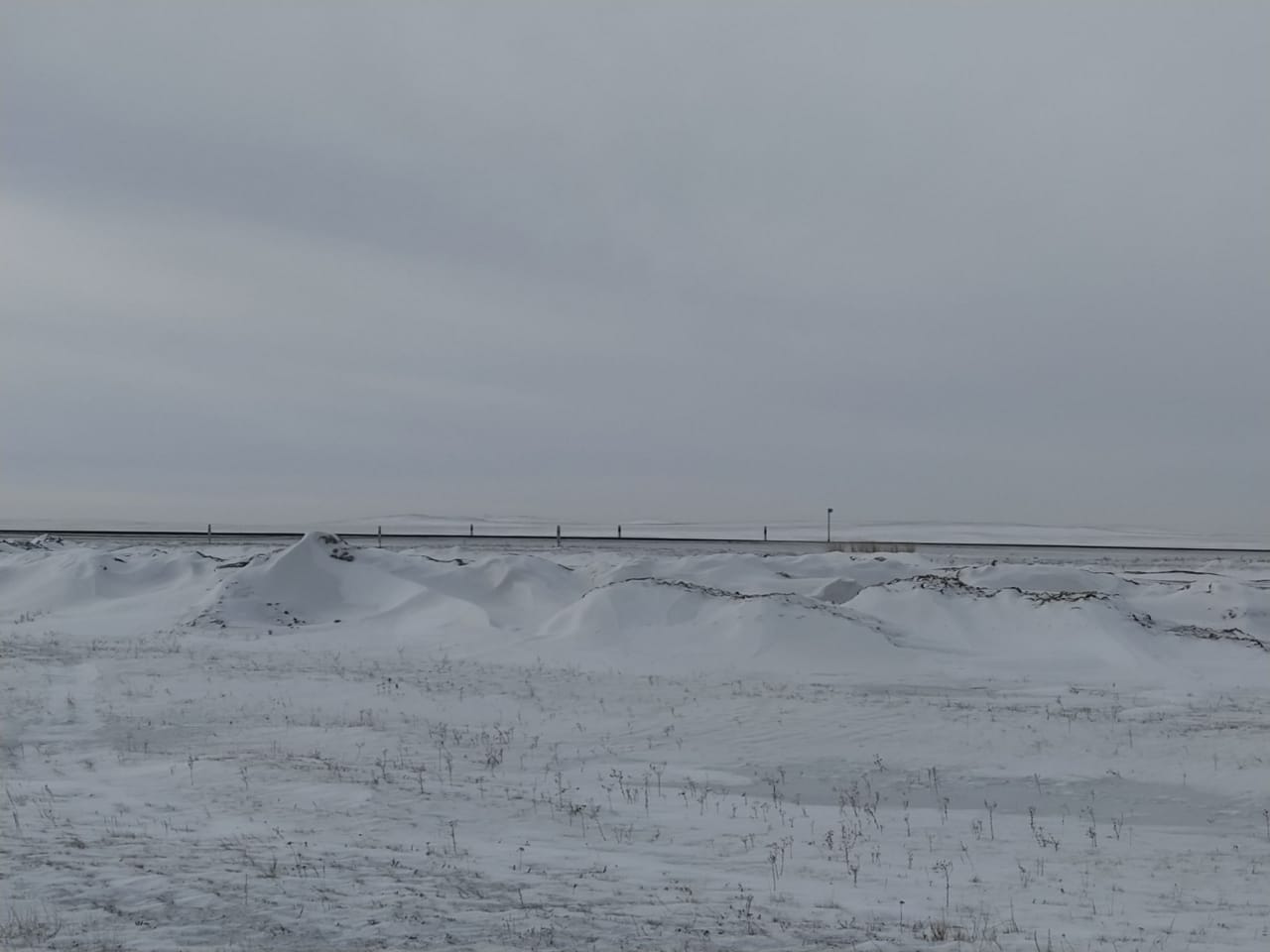 img-3
