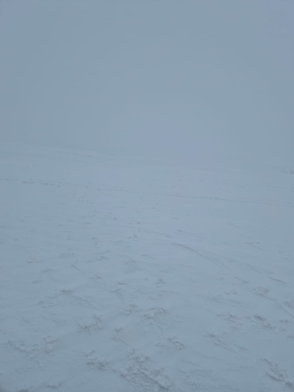 img-2