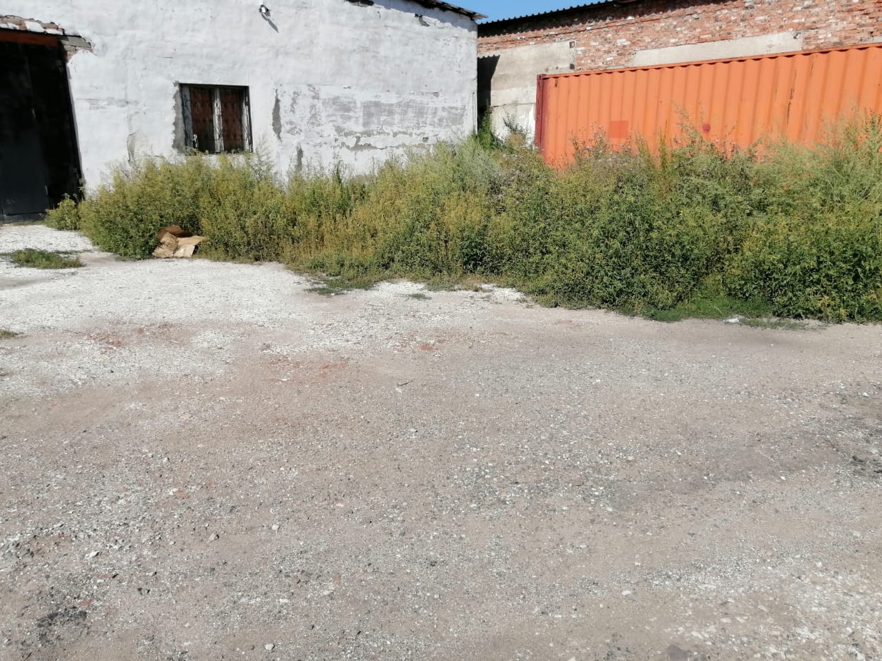 img-2