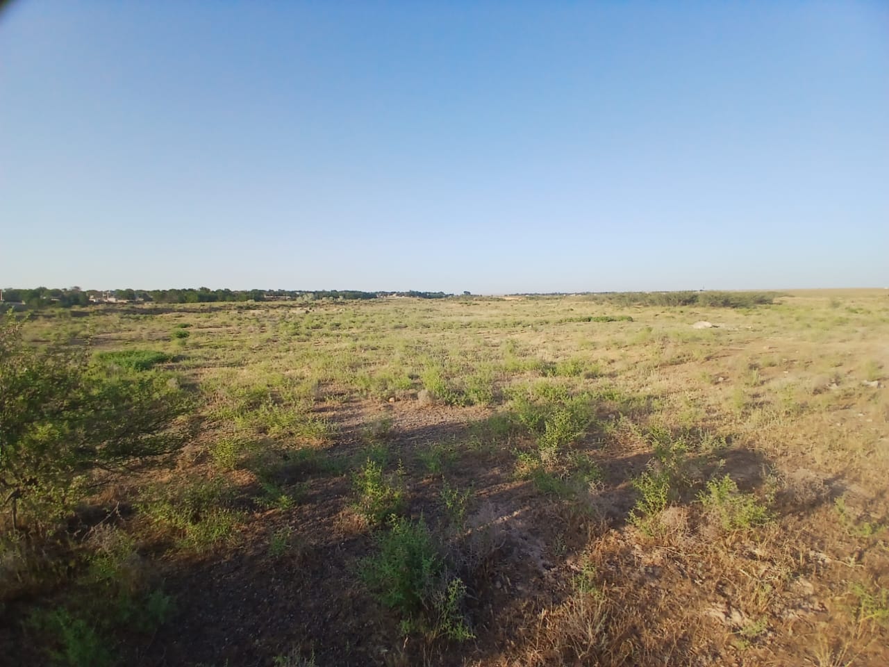 img-4