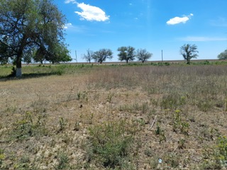 img-2