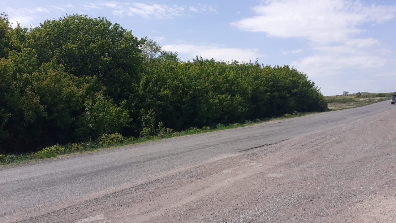 img-4