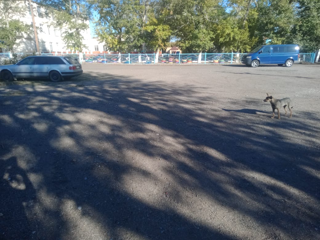 img-3