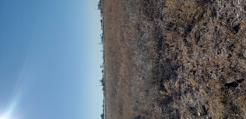 img-3