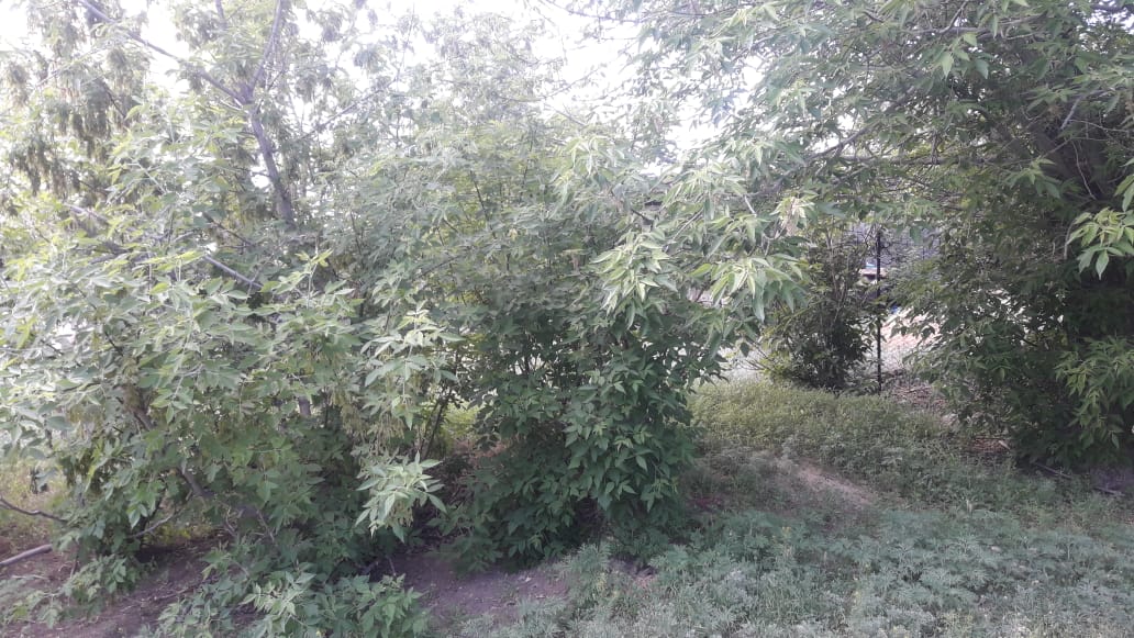 img-3