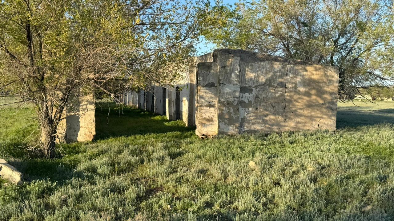 img-3