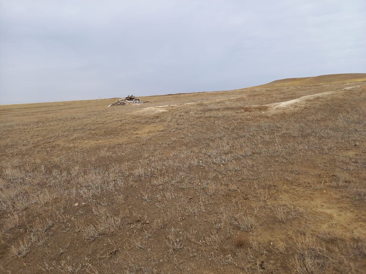 img-2