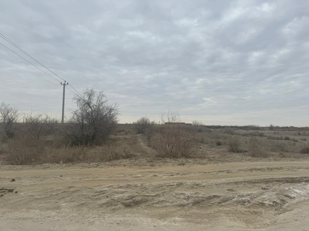 img-2
