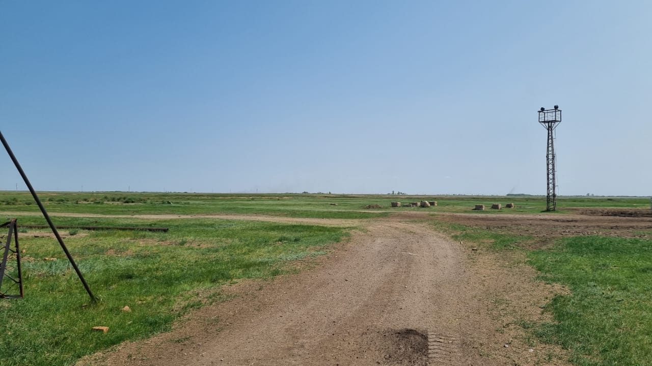 img-0