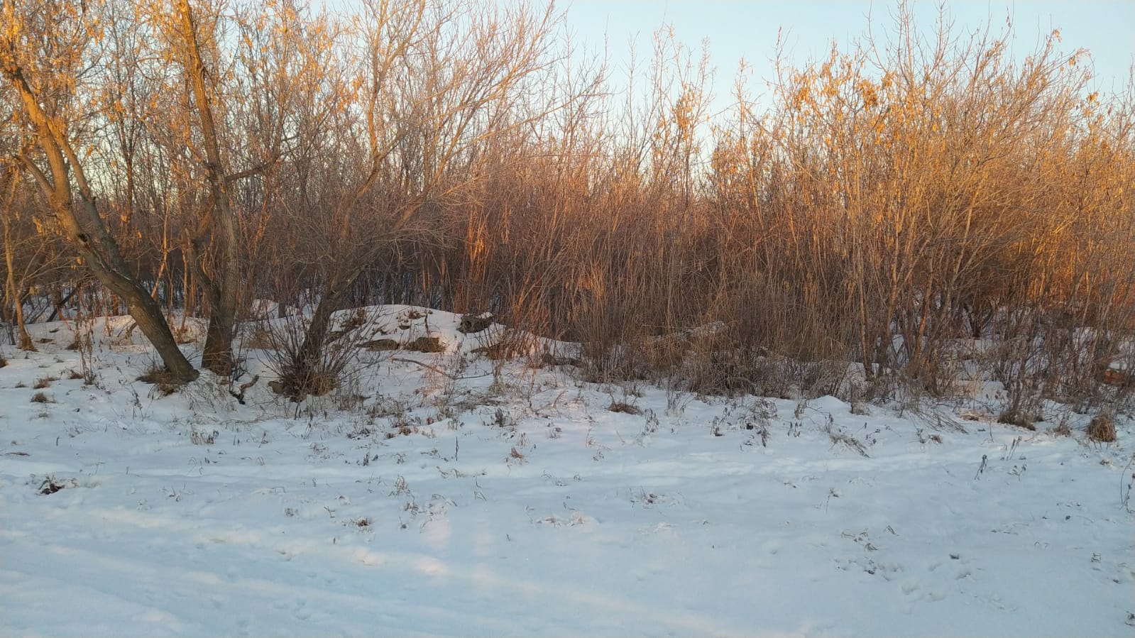img-1