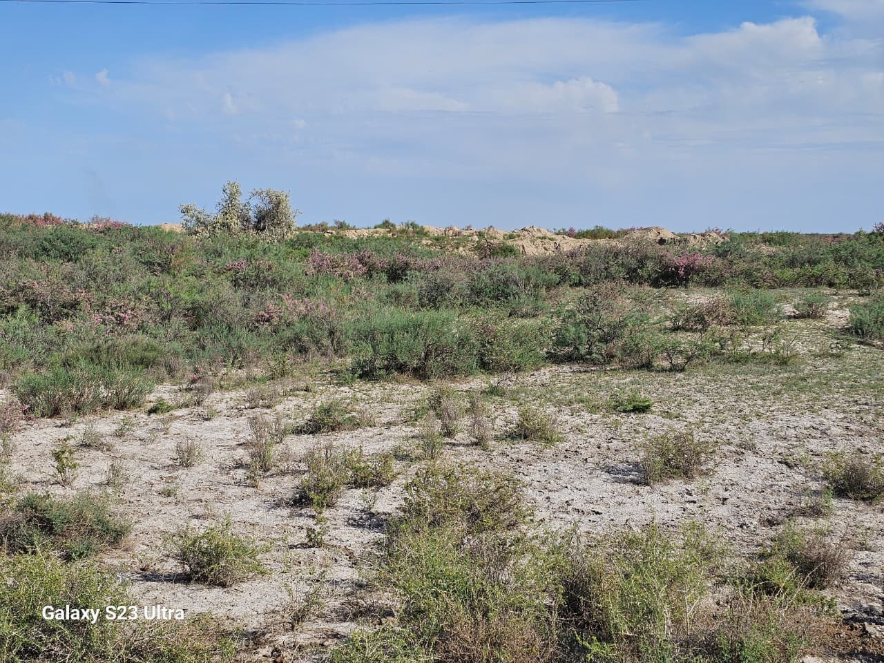 img-2