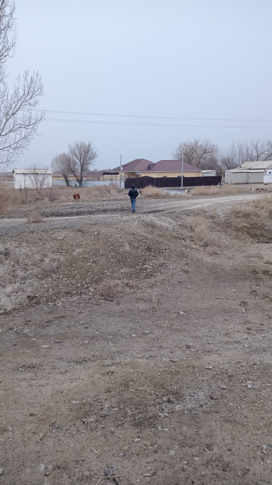 img-3