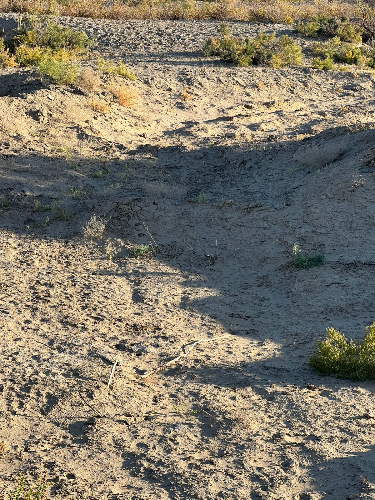 img-0