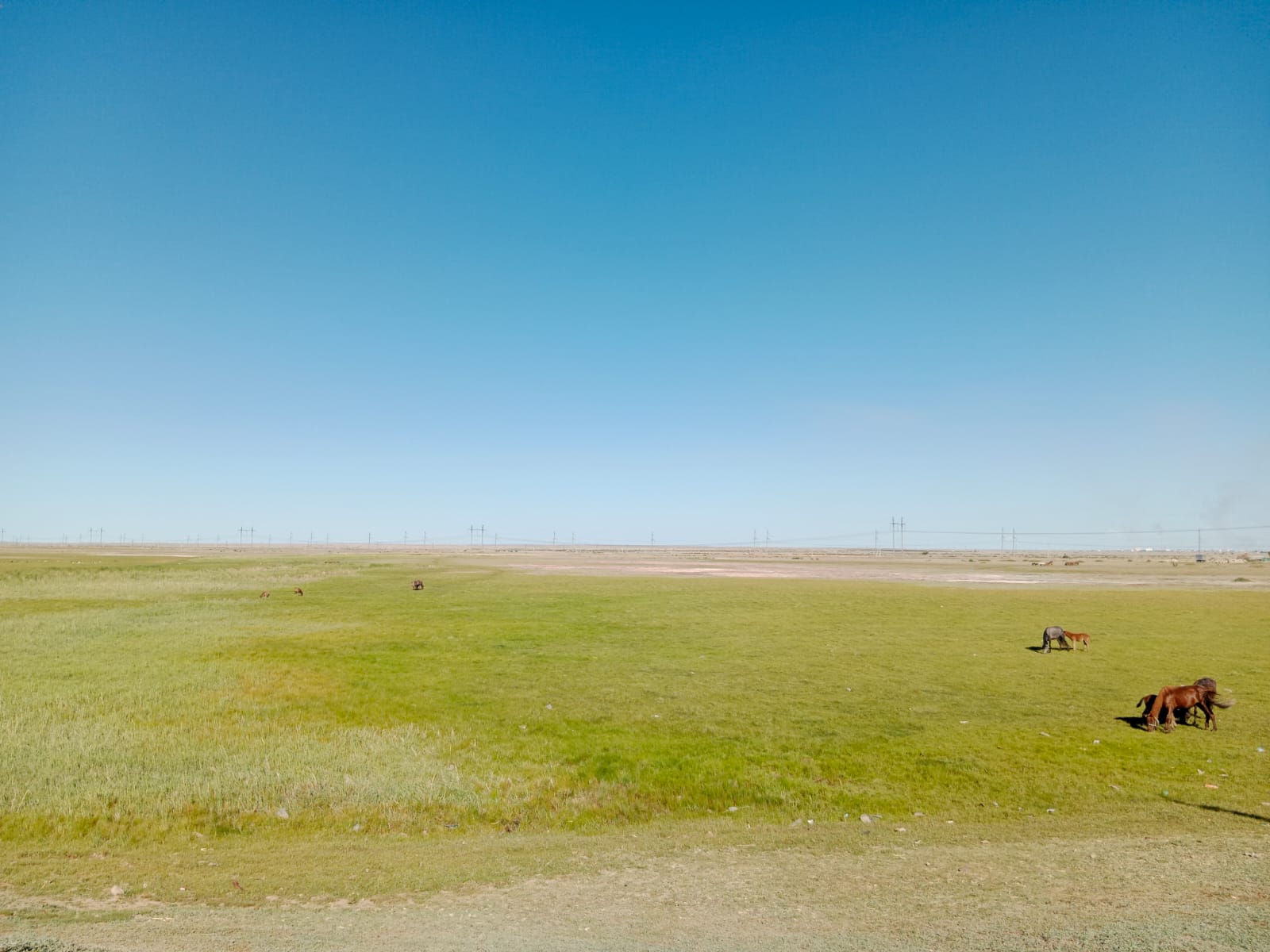 img-1