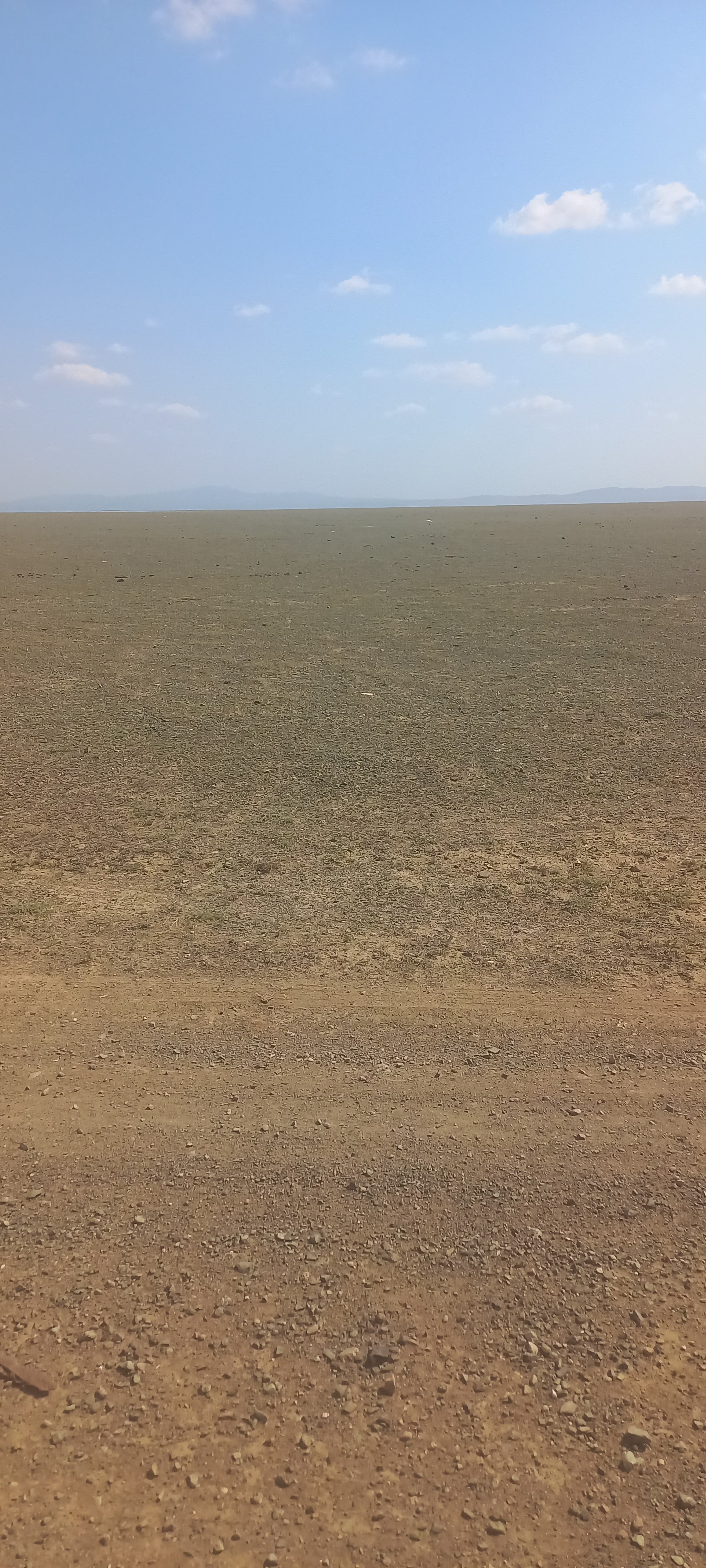 img-3