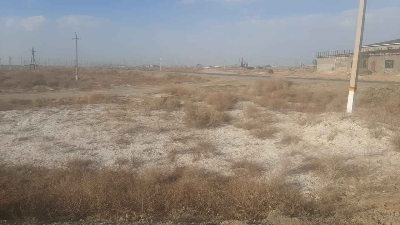 img-2