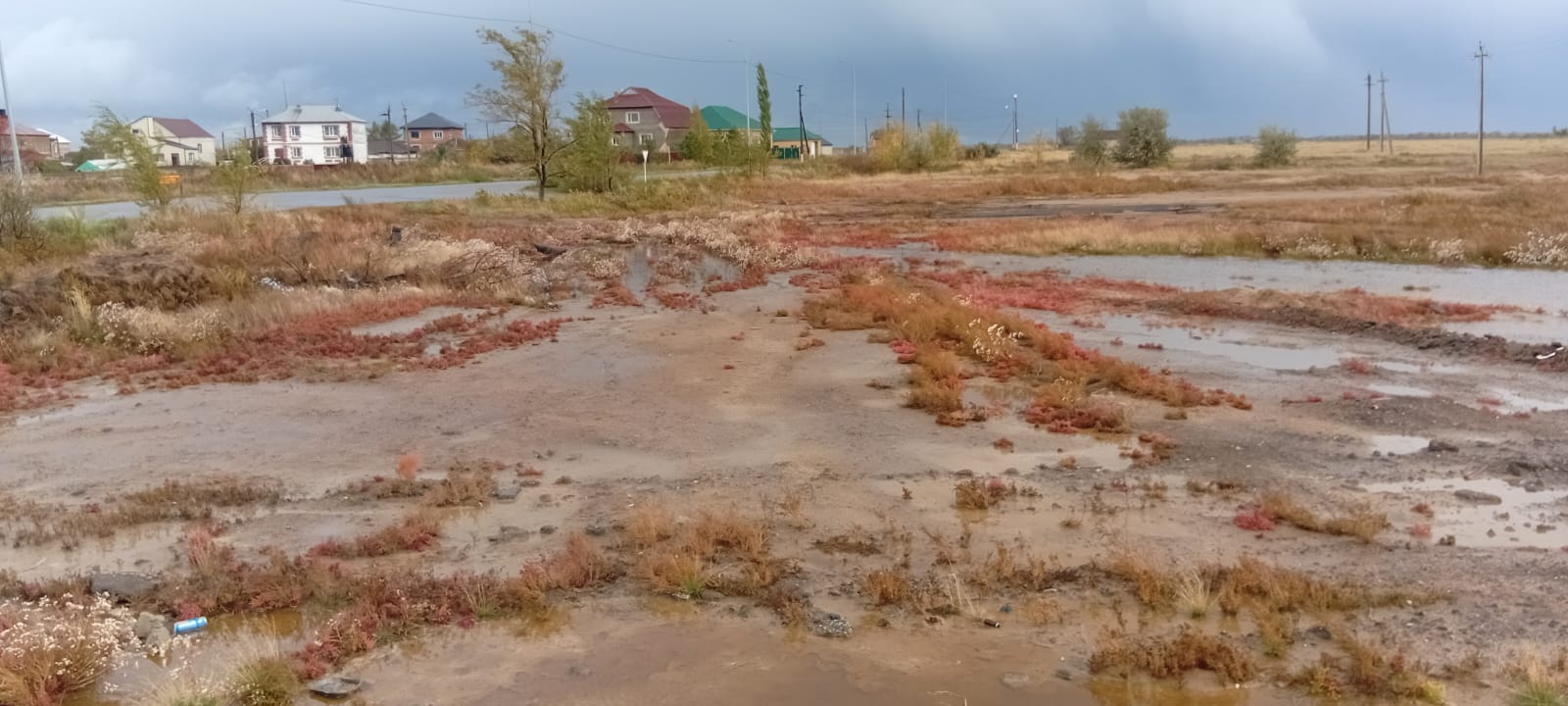 img-2