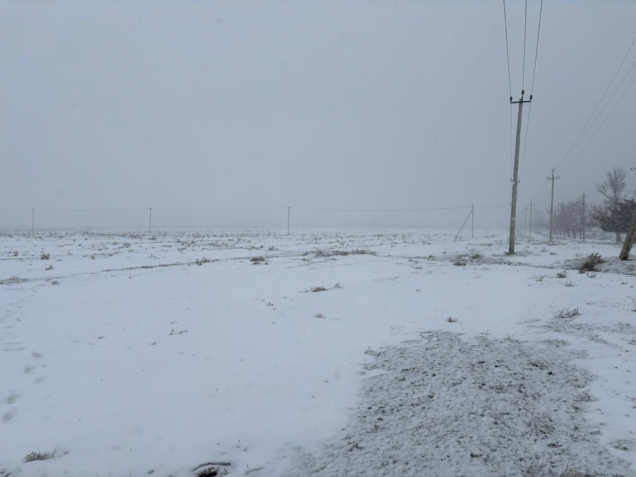 img-3