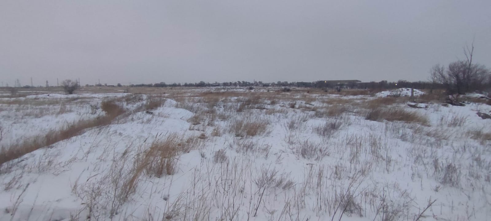 img-3