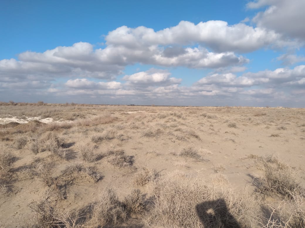 img-2