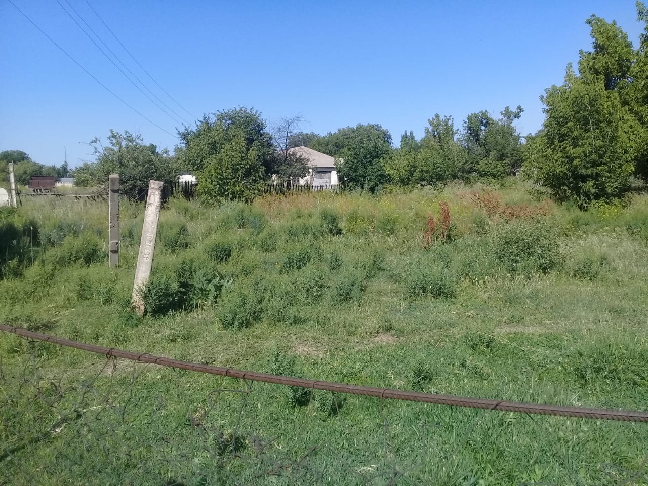 img-4