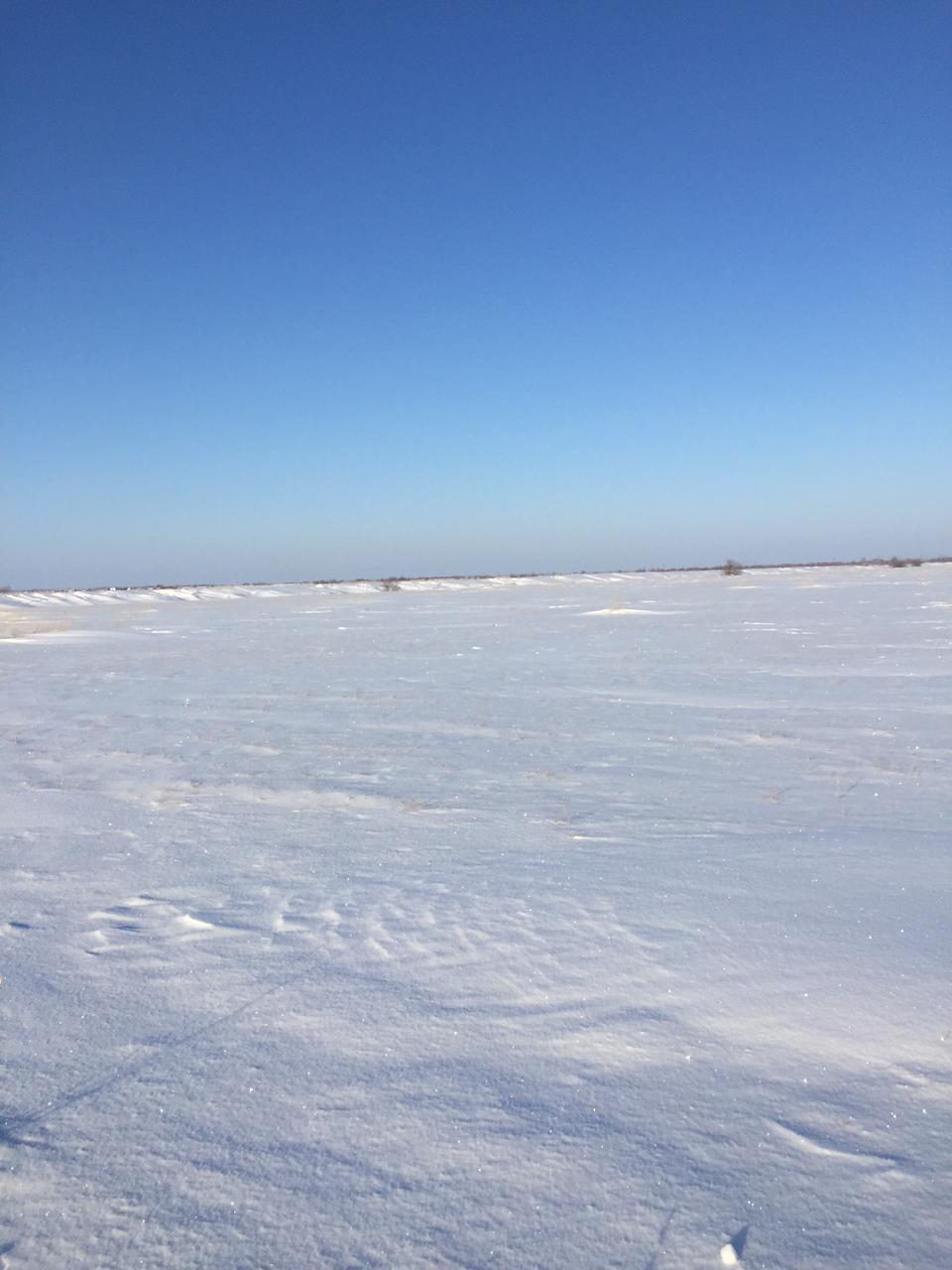img-4