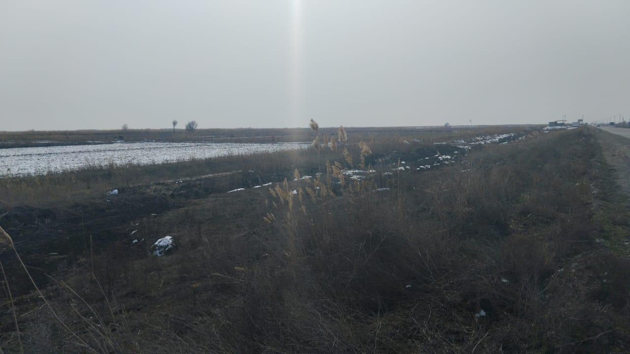 img-7