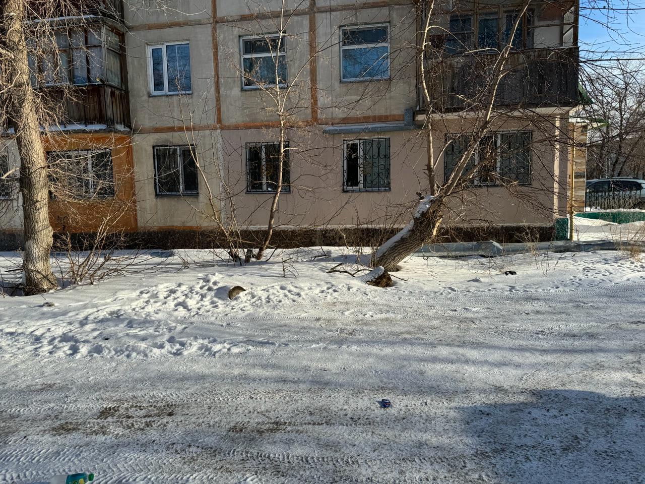 img-1