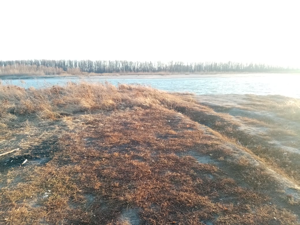 img-6