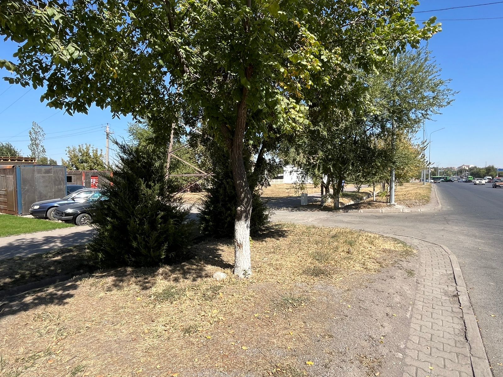 img-2