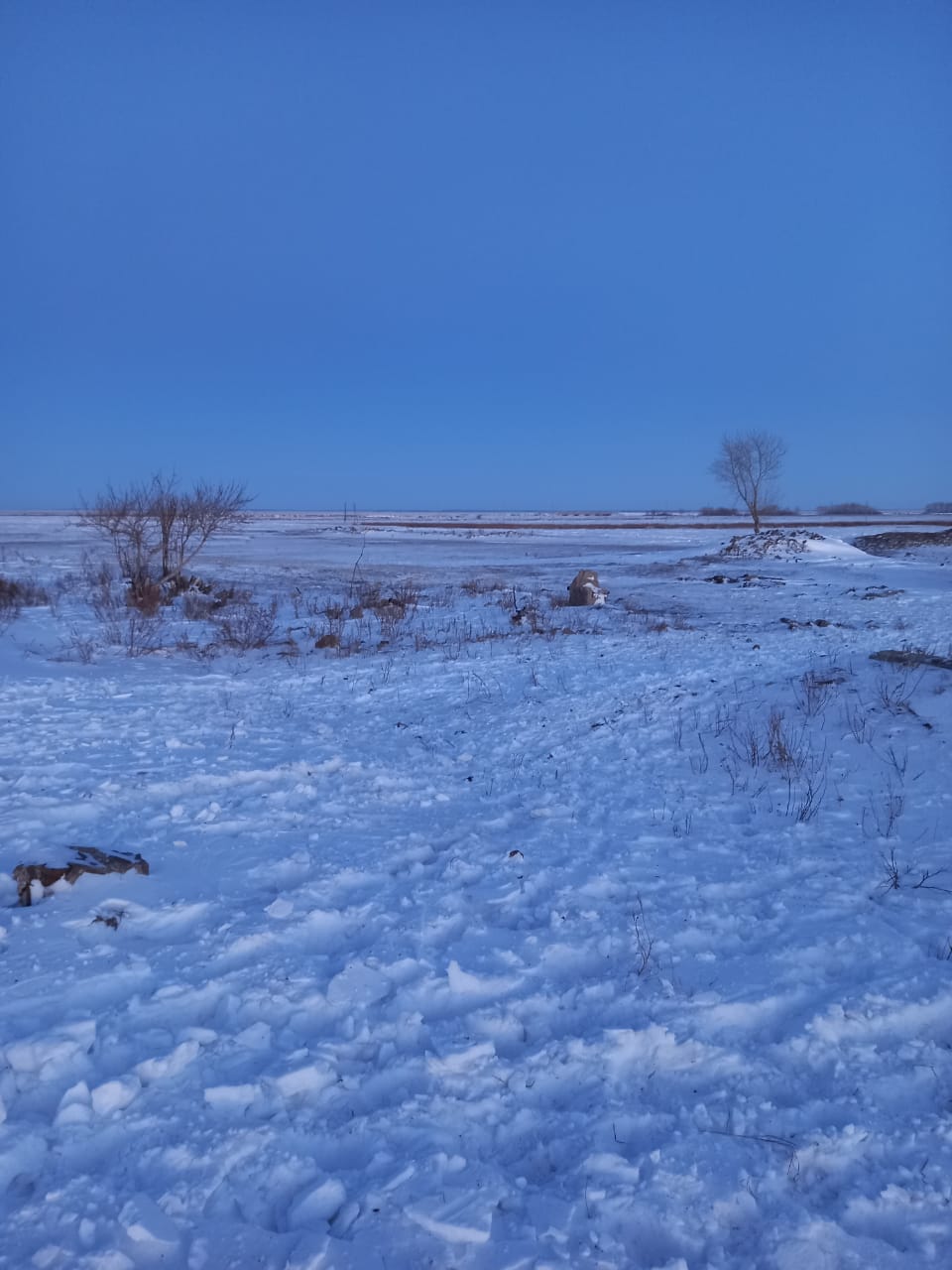 img-4