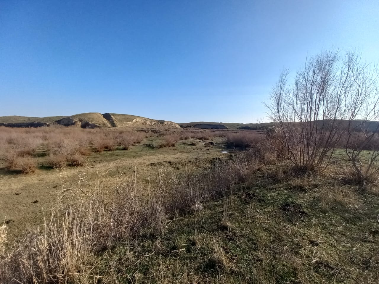 img-3