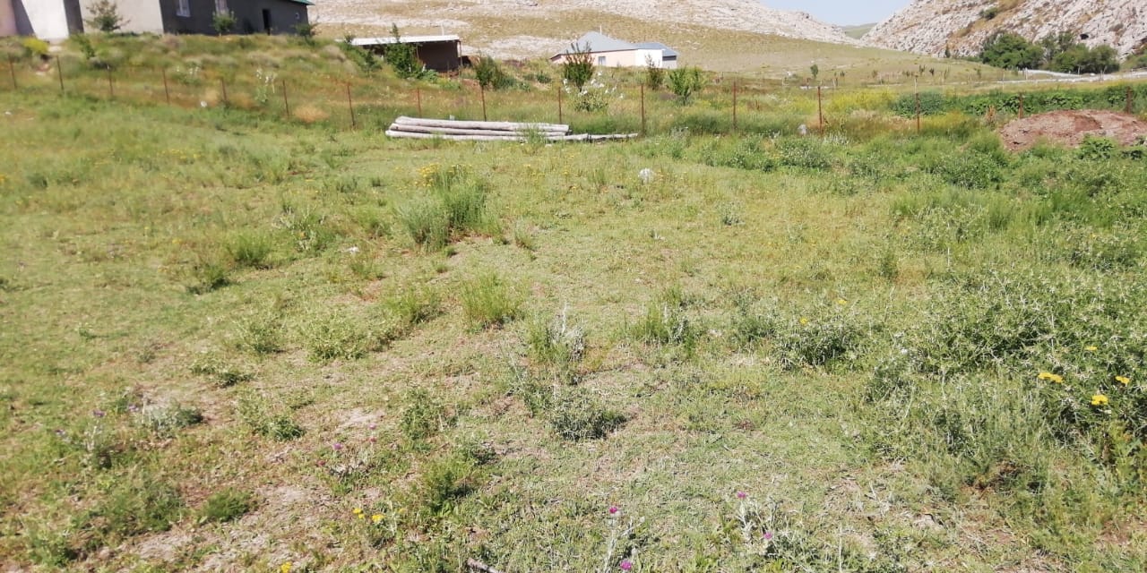 img-2