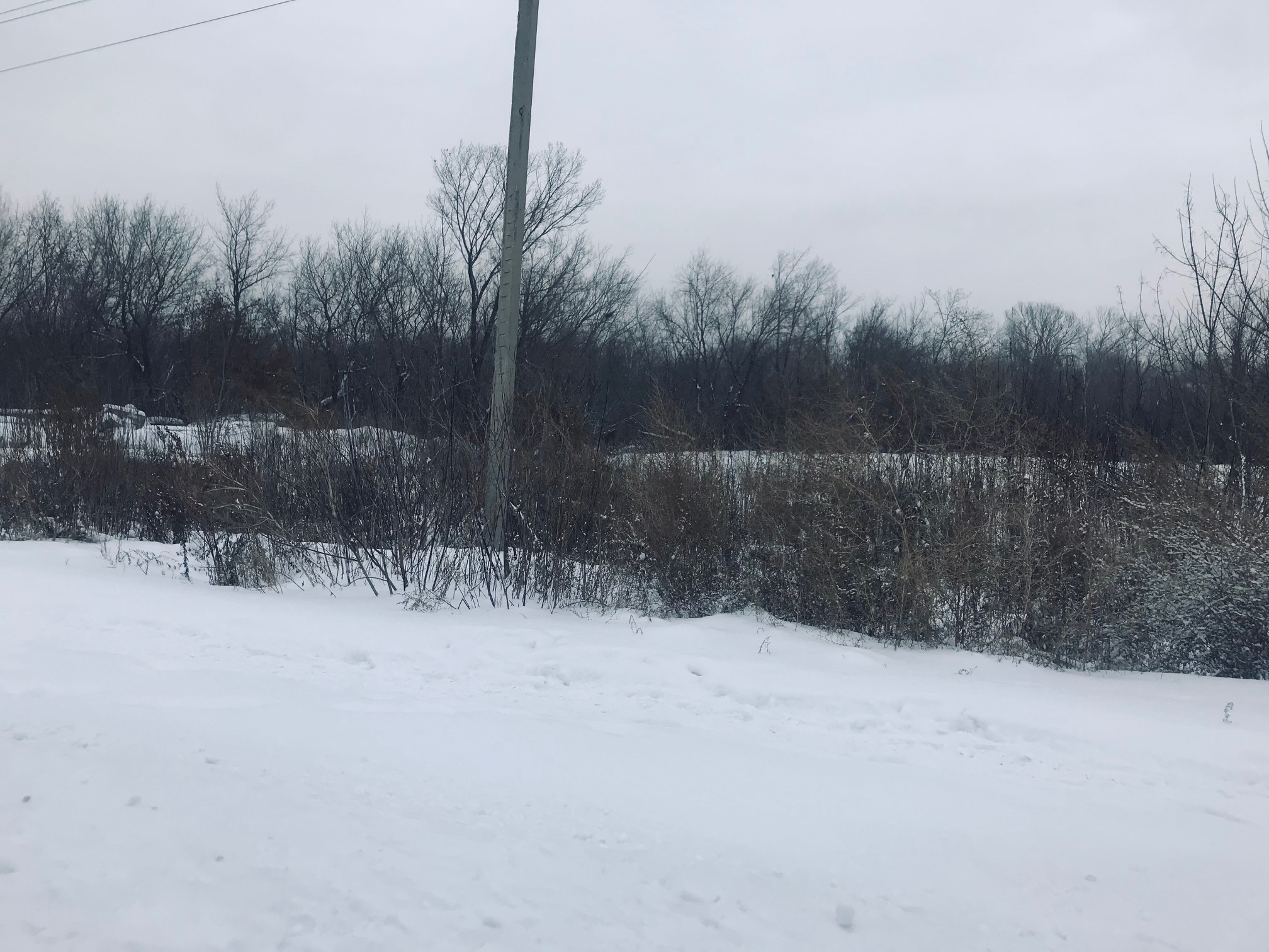 img-2