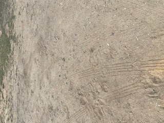 img-2