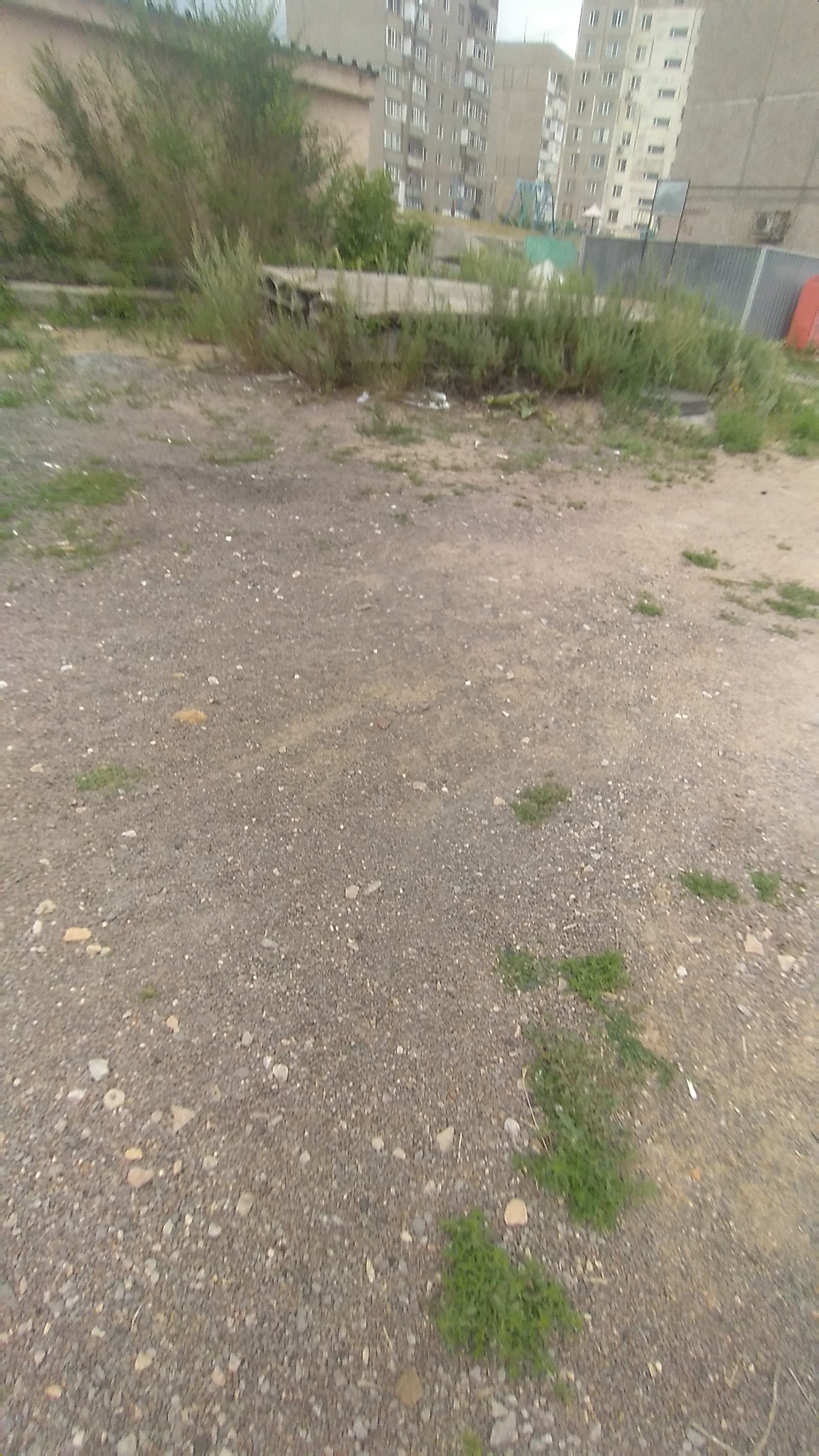 img-3