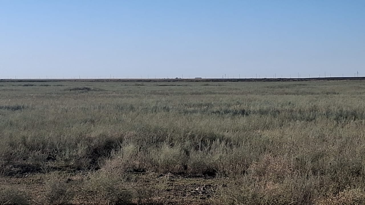 img-3