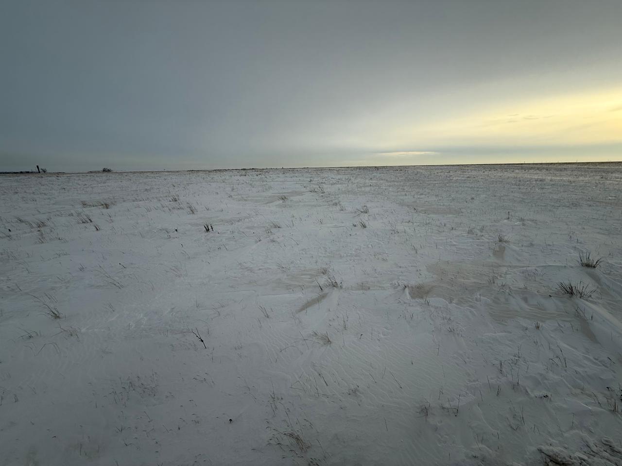 img-1