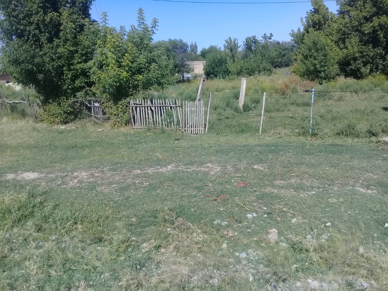 img-3