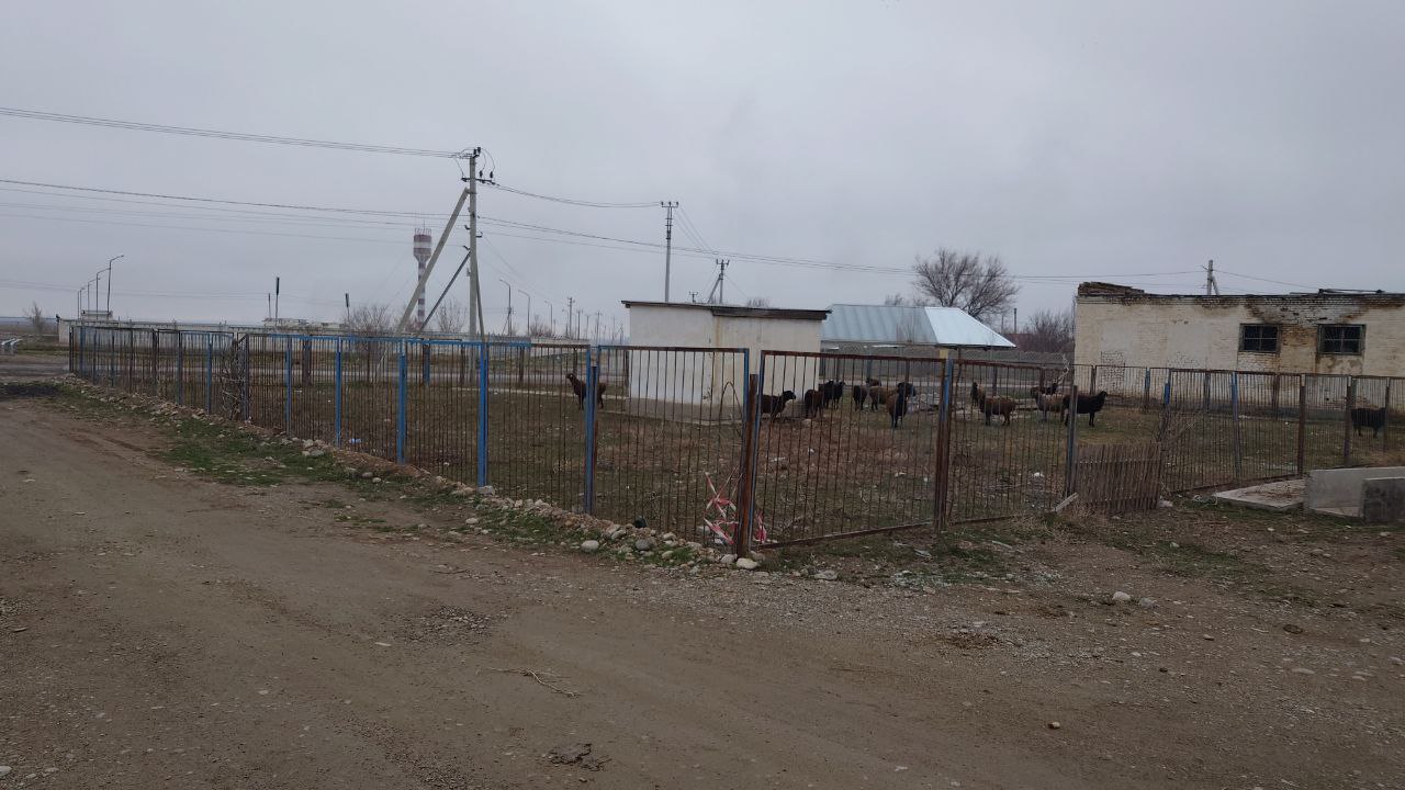 img-4
