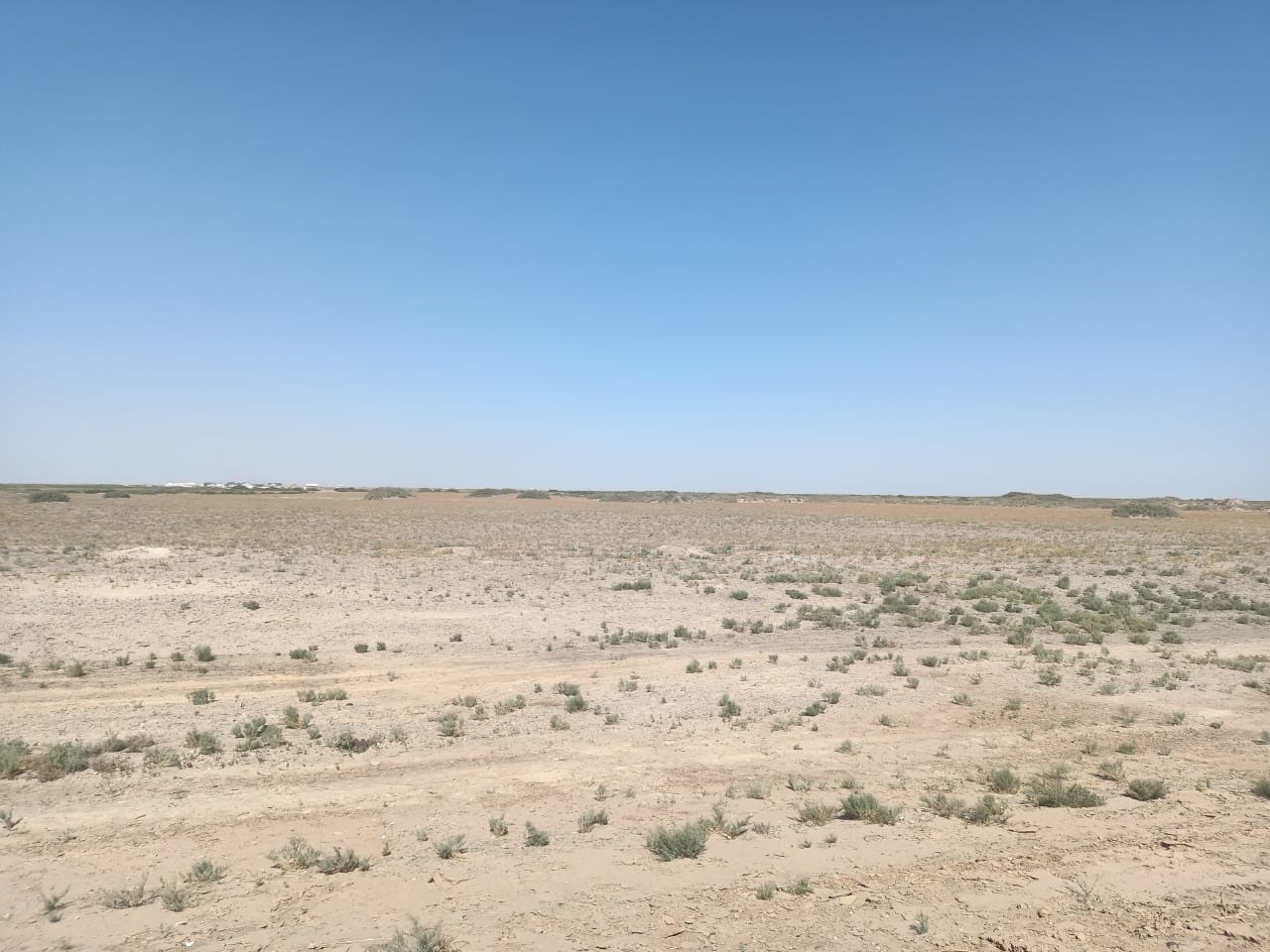 img-2