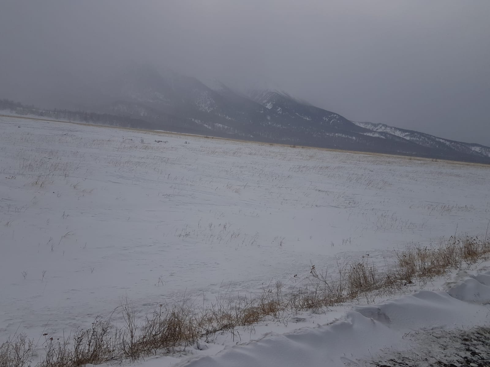 img-3