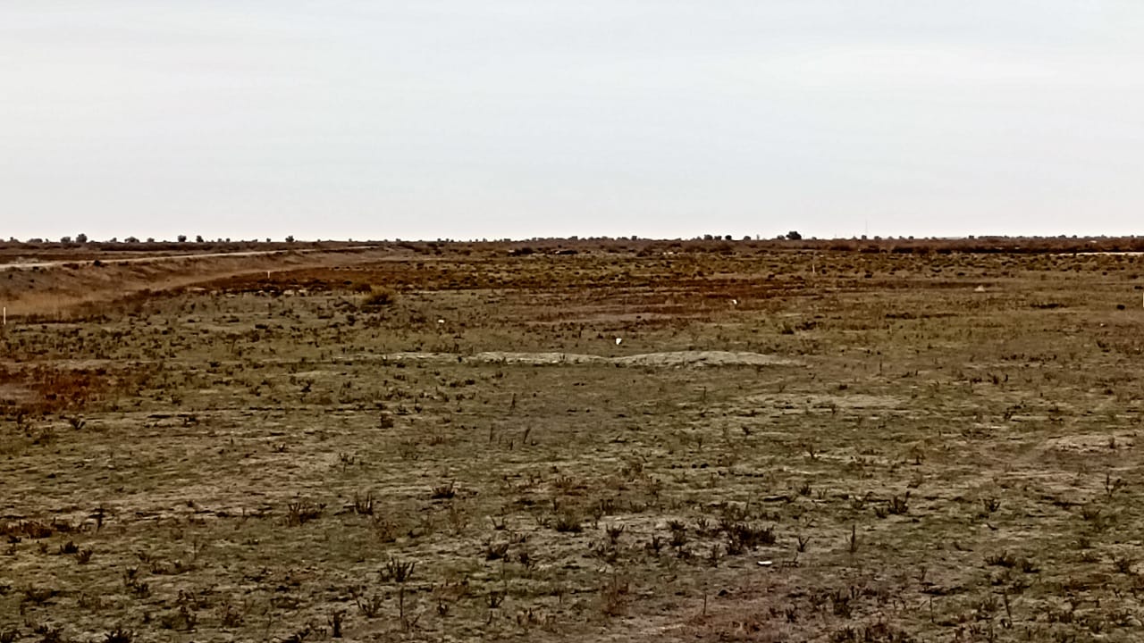img-1