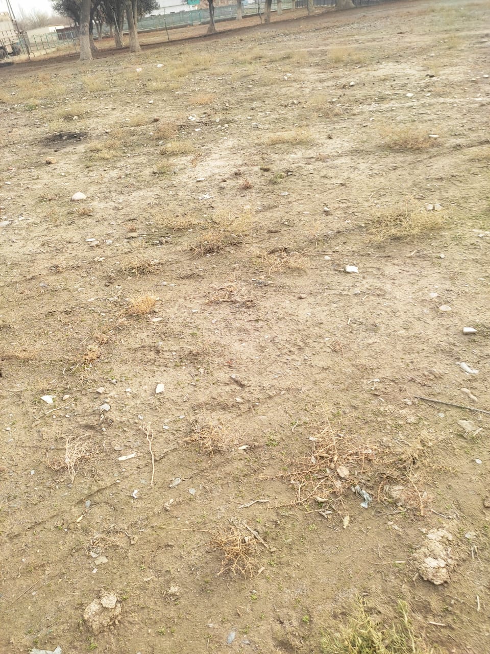 img-3